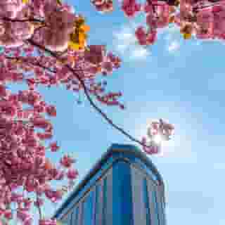 Sofitel Luxembourg Le Grand Ducal, 3 of 5