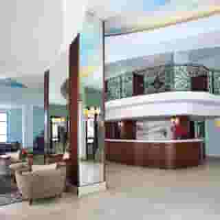 Cactus Mirage Family Club, 5 of 5