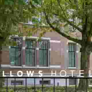 Pillows Maurits At The Park, 3 of 5