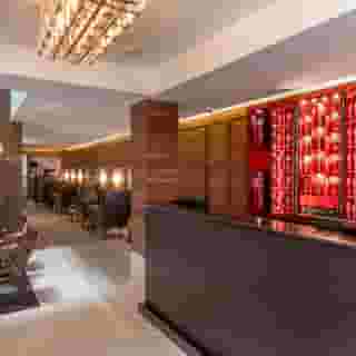 The Wild Oscar, 4 of 5