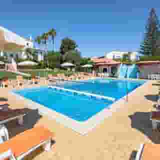 Flor Da Laranja, 2 of 5