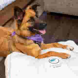 Element Austin Downtown, 3 of 5