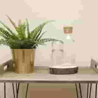 Flores Guest House, 2 of 5