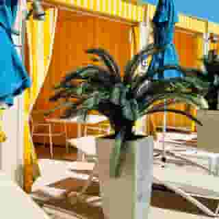 The Strat Hotel, Casino & Tower, 2 of 5