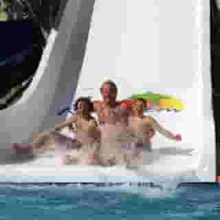 Kleopatra Royal Palm, 4 of 5