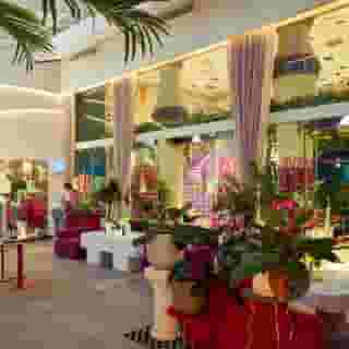 The Fig Lobby, 1 of 5