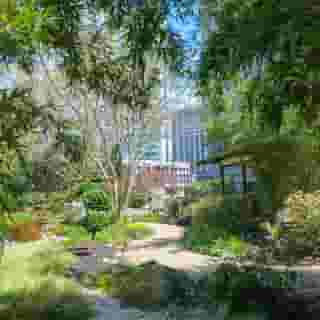 Grand Hyatt Atlanta In Buckhead, 1 of 5