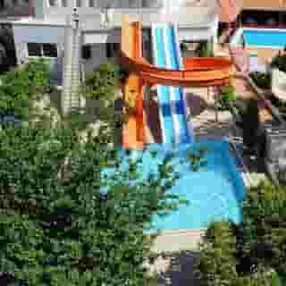 Catty Cats Garden Hotel, 5 of 5