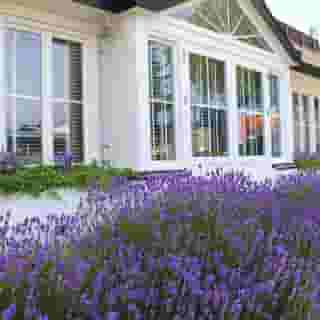 Herbergh Amsterdam Airport, 3 of 5