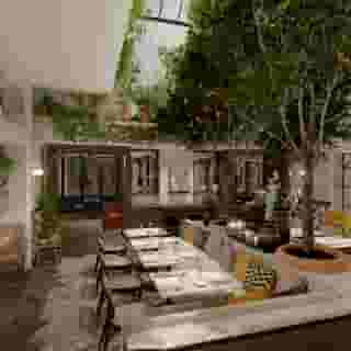 Royal Madeleine, 3 of 5