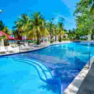 Grand Oasis Palm, 3 of 5