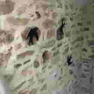 La Gomerie Chambres d'Hotes, 6 of 6