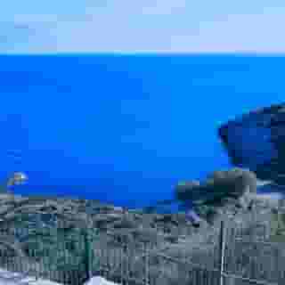 Agnantio, 2 of 5