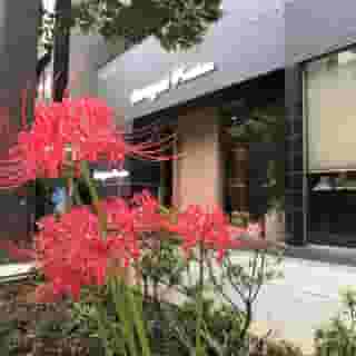 Dormy Inn Premium Tokyo Kodenmacho, 2 of 5