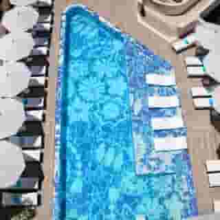 The Donna Portals, 3 of 5