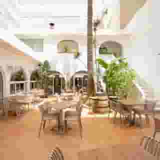 Internacional, 3 of 5