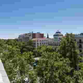 Petit Palace Lealtad Plaza, 2 of 5