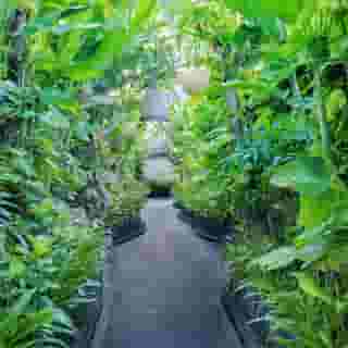 Seminyak Sactuary Villa by Ini Vie Hospitality, 5 of 5