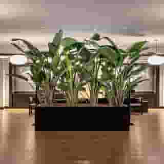 The Stay Boulevard Nisantasi, 2 of 5