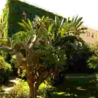 Eden Riviera, 3 of 5