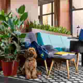 Bo18 Superior Hotel, 3 of 5