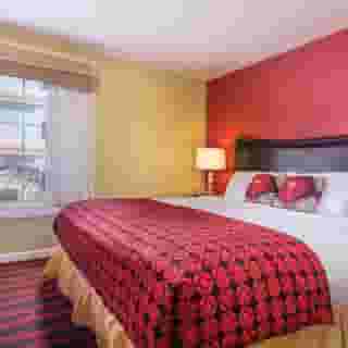 Peacock Suites, 1 of 5