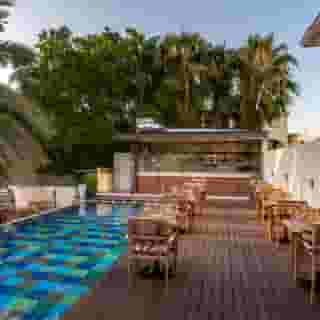 King Jason Paphos - Designed for Adults Only, 6 of 6