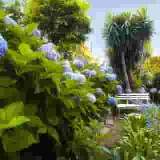 Hotel Regina Sorrento, 4 of 5