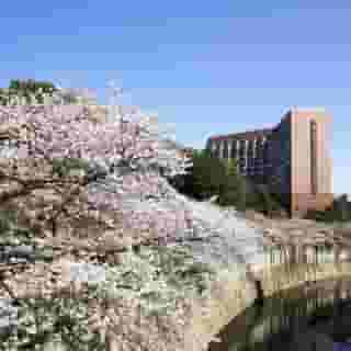 Hotel Chinzanso Tokyo, 6 of 6