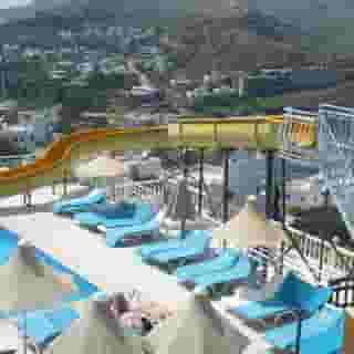 Family Belvedere, 5 of 5