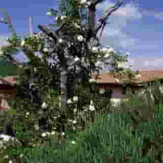 Country House Pro Vobis, 4 of 5