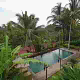 Pertiwi Bisma 1 Ubud Bali, 4 of 5