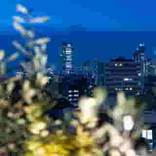 Tokyu Stay Shibuya, 1 of 5