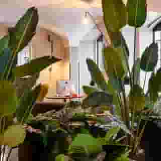 Browns Downtown Hotel, 4 of 5