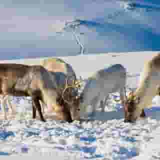 Smarthotel Tromso, 3 of 5