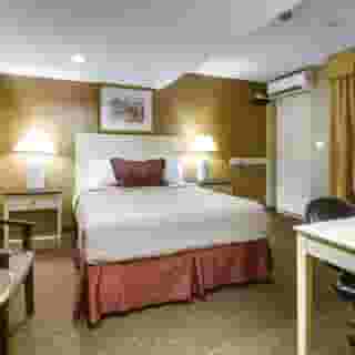 Monte Carlo Inn Toronto West Suites, 6 of 6