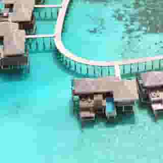 Coco Bodu Hithi, 2 of 5