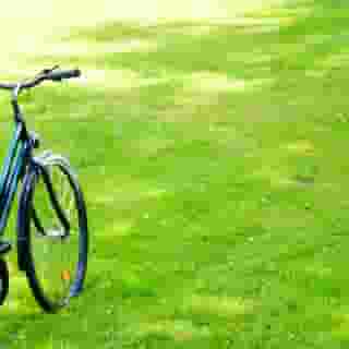 Orania.Berlin, 2 of 5