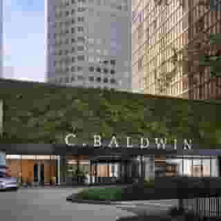 C. Baldwin, Curio Collection by Hilton, 6 of 6