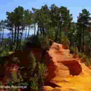 Hotel Mercure Pont d'Avignon Centre, 4 of 5