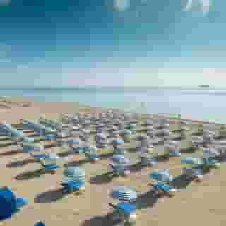 Hilton Bentley Miami Beach, 6 of 6