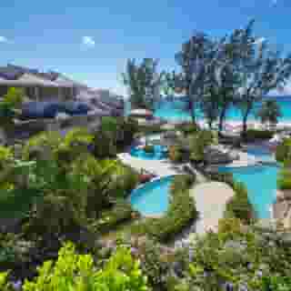 Bougainvillea Barbados, 4 of 5