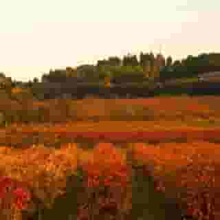 Les Balcons De Maragon, 1 of 1