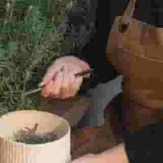 Jw Marriott Hotel Mexico City Polanco, 2 of 5