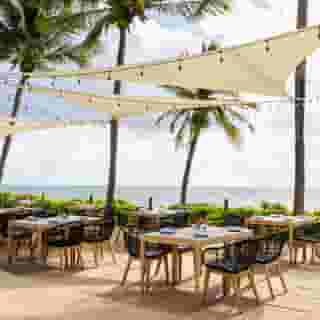 Hyatt Zilara Riviera Maya - Adults Only (18+), 5 of 5