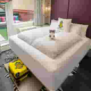 Staypineapple, An Artful Hotel, Midtown New York, 5 of 5