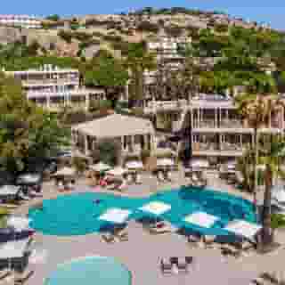 White Olive Premium Lindos, 4 of 5