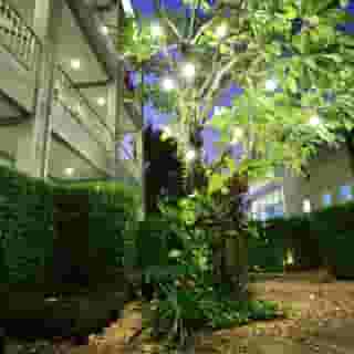 The Malika Hotel, 6 of 6