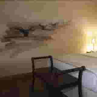 El Jardin De Eugenia, 1 of 5