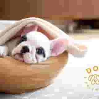 Fiesta Americana Mexico Toreo, 3 of 5